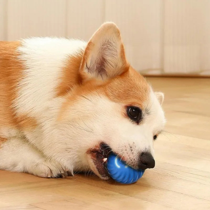 Pelota de juguete para mascotas movimiento automático, USB inteligente, saltando, giratorio, interactivo,