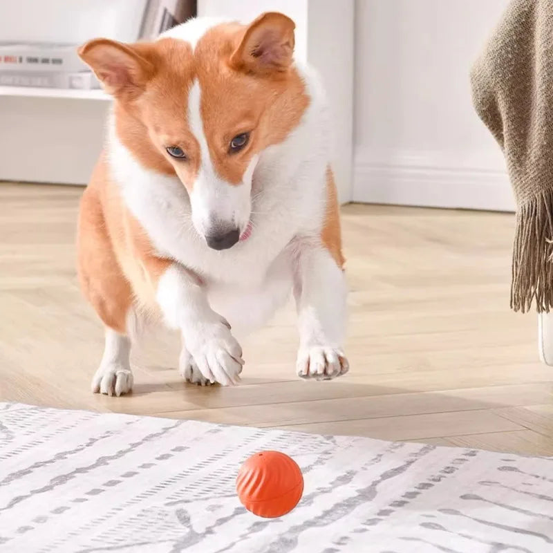 Pelota de juguete para mascotas movimiento automático, USB inteligente, saltando, giratorio, interactivo,
