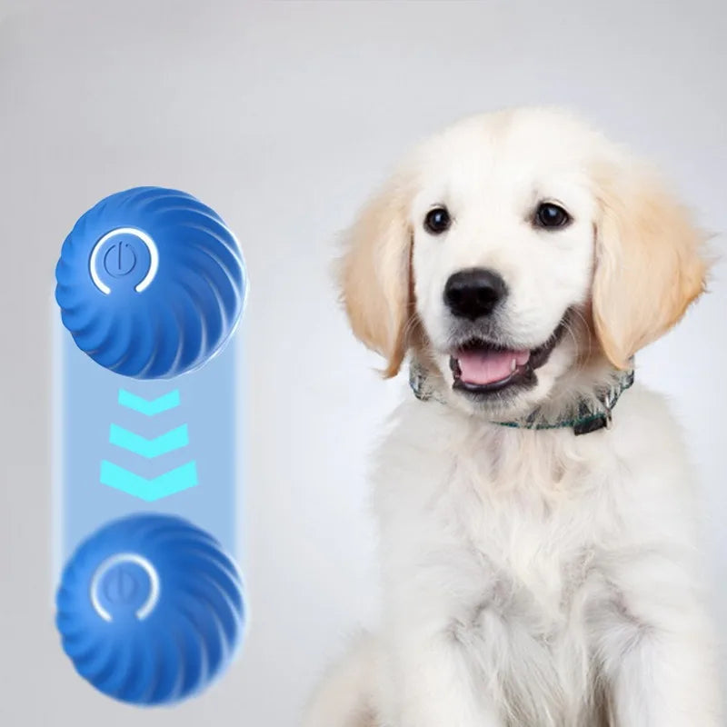 Pelota de juguete para mascotas movimiento automático, USB inteligente, saltando, giratorio, interactivo,